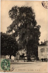 Nemours Le Sully à Nemours