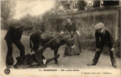 Robinson ah cette buche -
													92 Hauts de Seine
												