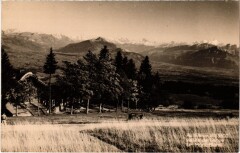 Saleve Le Mont-Blanc