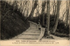 Chevreuse La Montee du Chateau de la Madeleine à Chevreuse