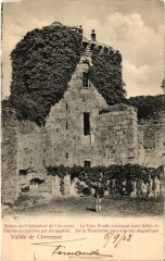Chevreuse Ruines du Chateau-Fort à Chevreuse