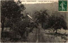 Dampierre Sentier dans la Brume