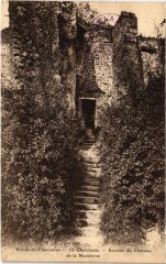 Chevreuse Escalier du Chateau de la Madeleine -
																					78460 Chevreuse
																			
