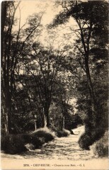 Chevreuse Chemin Sous-Bois -
																					78460 Chevreuse
																			