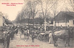 Moulins - Marche Aux Chevaux - Cours De Bercy -
																					03000 Moulins
																			