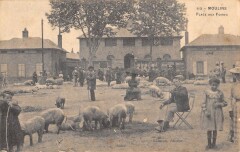 Moulins - Place Aux Foires - Marche Aux Cochons à Moulins