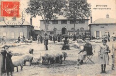 Moulins - Place Aux Foires - Cochons à Moulins