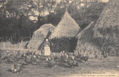 Scenes De La Vie Normande - Visite A La Ferme - Gardeuse De Dindons