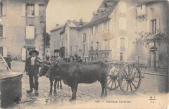 Cantal - Attelage Cantalien -
													15 Cantal
												