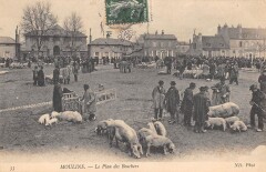 Moulins - Le Plan Des Bouchers - Marche Aux Cochons à Moulins