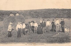 Groupe De Faneurs Auvergnats