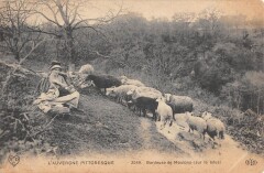 Cantal - Gardeuse De Moutons - Sur Le Talus -
													15 Cantal
												