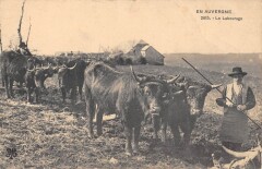 Cantal - En Auvergne - Le Labourage