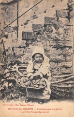 Environs De Beaune - Vendangeuse En Herbe - Layotte Bourguignonne à Beaune
