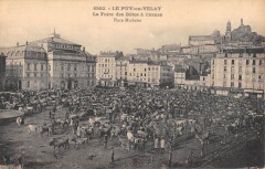 Le Puy En Velay - La Foire Des Betes A Cornes - Place Michelet au Puy-en-Velay