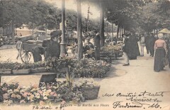 Angers - Le Marche Aux Fleurs à Angers