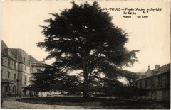 Tours Le Musee Le Cedre à Tours