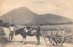 Le Puy De Dome - Attelage