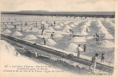 Les Salins D'Hyeres - Recolte Du Sel - Cristallisoir Garni De Mottes