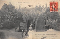 Lucon - Jardin Dumaine - Allee Des Ifs