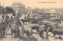 Un Champ De Foire En Limousin