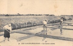 Les Sables D'Olonne - Les Marais Salants aux Sables-d'Olonne