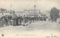 Limoges - Le Marche Place Carnot à Limoges