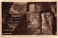 Chateau de Plessis-lez-Tours à Tours
