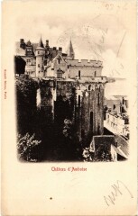 Amboise Le Chateau à Amboise
