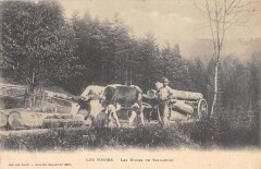 Les Vosges - Les Modes De Transport