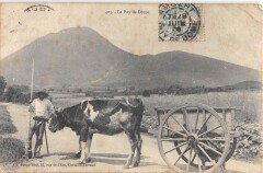Le Puy De Dome - Attelage