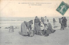 Scenes De Plage - Debarquement Du Poisson - Le Treport Mers
