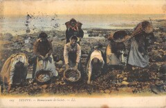 Dieppe - Ramasseuses De Galets à Dieppe