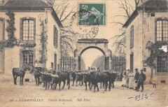 Rambouillet - Ferme Nationale -
																					78120 Rambouillet
																			