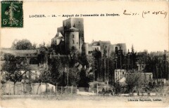 Loches Aspect de l'ensemble du Donjon à Loches