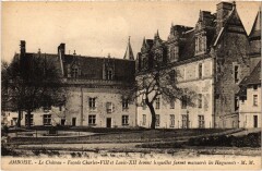 Amboise le Chateau à Amboise