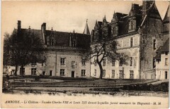 Amboise le Chateau à Amboise