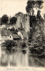Montresor une vue sur l'Indrois