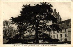 Tours le Musee et le Cedre à Tours