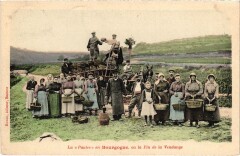 Vendange en Bourgogne La Paule