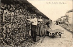 La Riviere Cueillette des Raisins