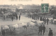 Baugy - Une Partie Du Champ De Foire -
																					18800 Baugy
																			