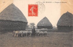 En Beauce - Troupeau De Moutons