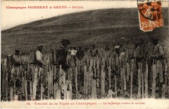 Reims Champagne Pommery et Greno Sulfatage contre le mildew à Reims