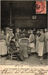 Vendange en Champagne Pesage du Raisin