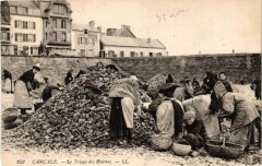 Cancale - Le Triage des Huitres -
																					35260 Cancale
																			