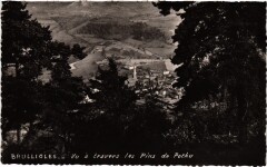Brullioles - Vu a Travers les Pins de Pothu à Brullioles