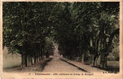 Villefranche-sur-Saone - Allee Conduisant au College de Montgres à Villefranche-sur-Saône