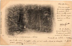 Chateau de Vizille - L'Allée des Soupirs à Vizille