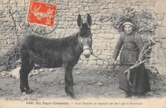 Au Pays Creusois - Anni Baptisto Ne Regarde Par Tant -
													23 Creuse
												
